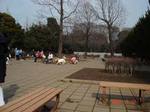 DSC00588.jpg