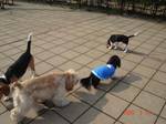 DSC00591.jpg