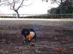 DSC03147.jpg